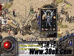 ��׿�泬����̬����