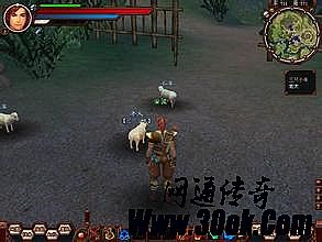 辽宁网通传奇私服