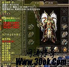 传奇单职业版本是啥