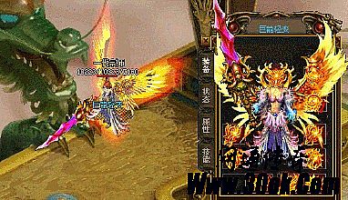 ��Ѫ���泬��̬˽��