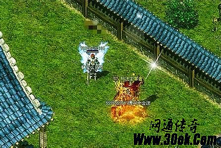 �й����Ŵ���1.76