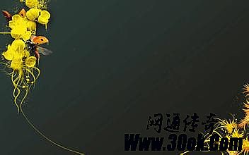 ��Ѫ����sf������6000