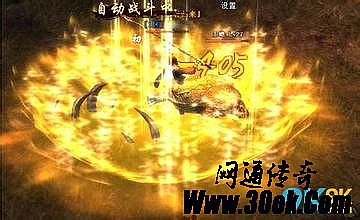 ��Ѫ�������ָ�� ��˧
