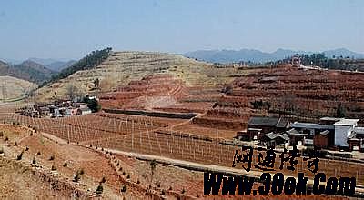 网页游戏手机版在线玩