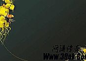 ػ֮۵·