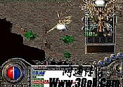 ����Ѫ��,�����л���а��ǯ����ô��